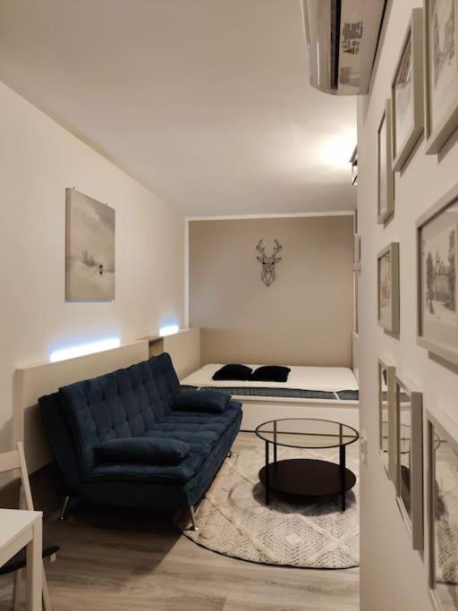 Joy City Stay Vivalia V6A-41 Timisoara Exterior foto